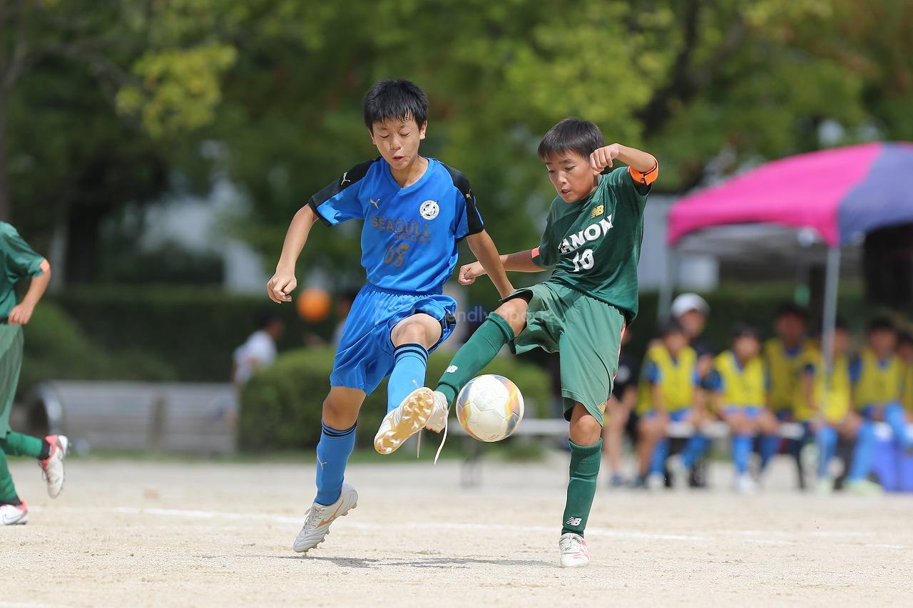 全日本U-12　広島支部予選　県大会へ出場する12チームが決定