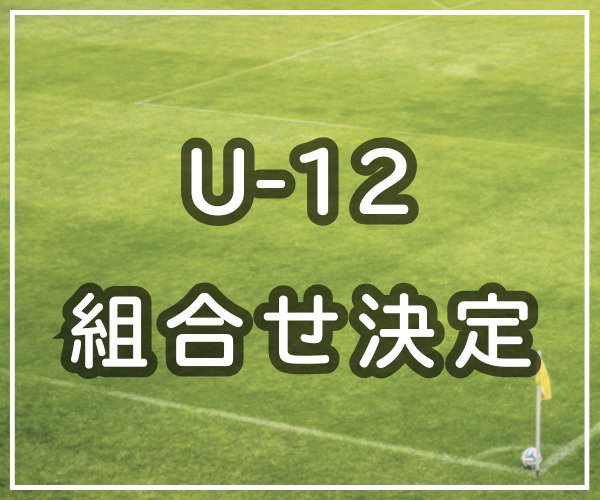 組み合わせ決定【全日広島支部予選】